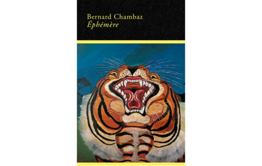 Couv-bernard-chambaz-Ephemere
