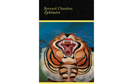 Couv-bernard-chambaz-Ephemere