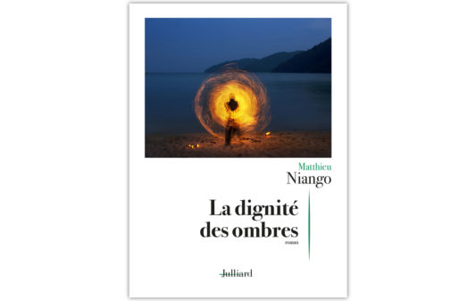 MATTHIEU-NIANGO-La-dignite-des-ombres-_Couv