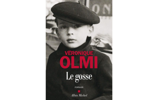 couv-veronique-olmi_le-gosse