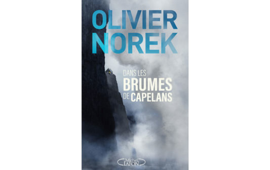 Couv_olivier-norek_dans-les-brumes-de-capelans