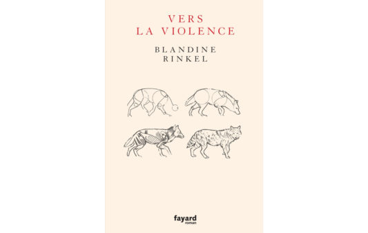 Couv_blandine-rinkel-vers-la-violence