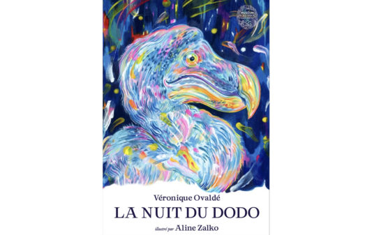 Couv_veronique-ovalde-la-nuit-du-dodo