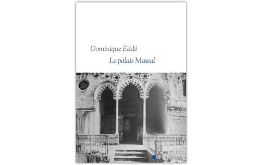 Couv_dominique-edde_le-palais-mawal