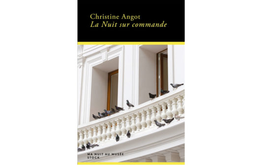 Christine-Angot-nuit-sur-commande