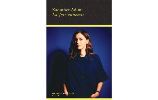 Couv_Adimi-joie-ennemie