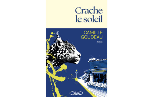 Couv_Camille-Goudeau-crache-le-soleil
