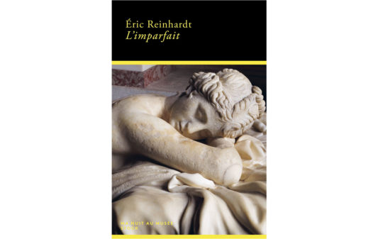 couv_eric-reinhardt_limparfait