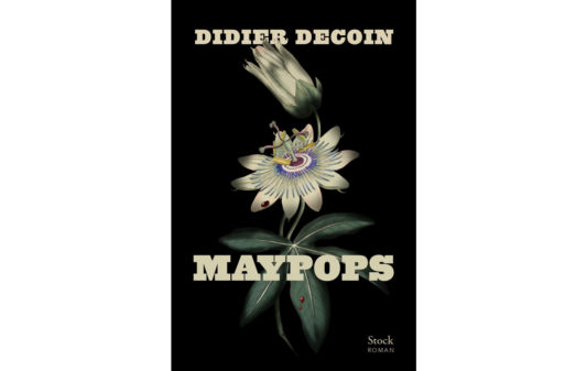Couv_didier-decoin_maypops