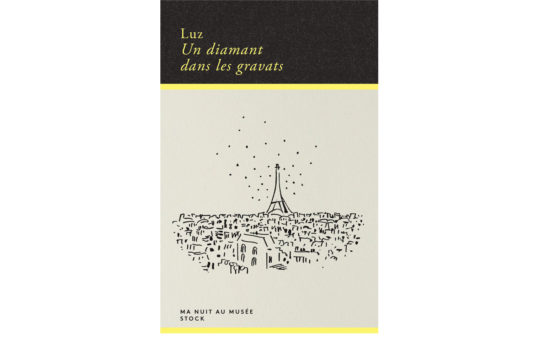 Couv_luz_un-diamant-dans-les-gravats Couv_luz_un-diamant-dans-les-gravats