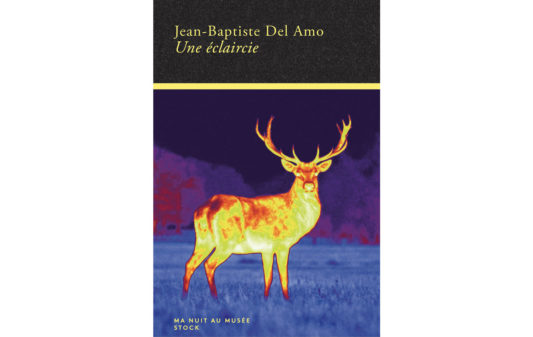 couv_jean-baptiste-del-amo_une-eclaircie couv_jean-baptiste-del-amo_une-eclaircie